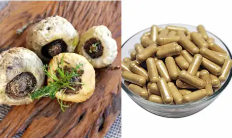 OEM Maca Root Extract Powder for Capsules